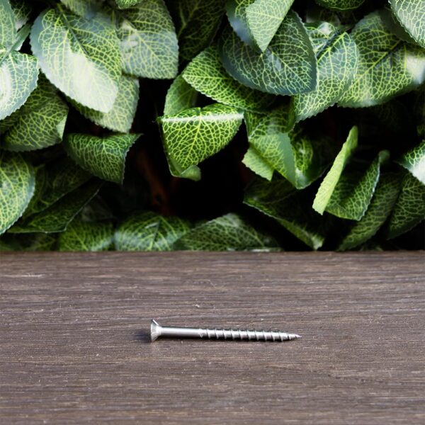 316 Stainless Steel Decking Screws (100 units) - Image 3