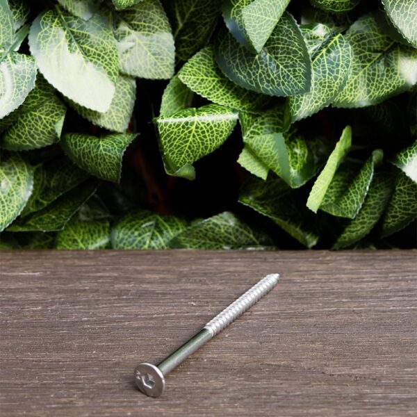 316 Stainless Steel Batten Screws 100mm (100 units) - Image 3