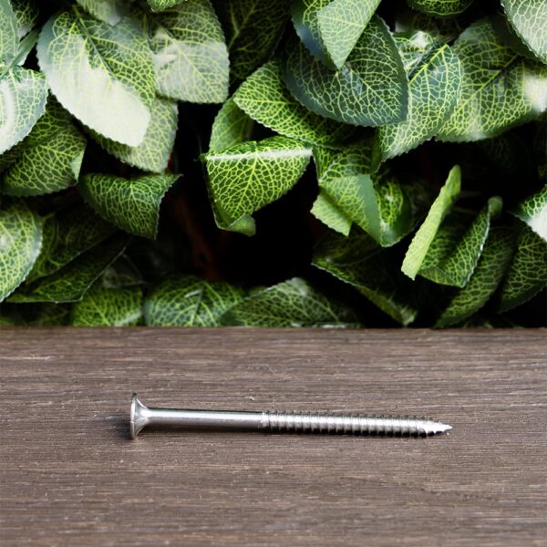 316 Stainless Steel Batten Screws 100mm (100 units) - Image 4