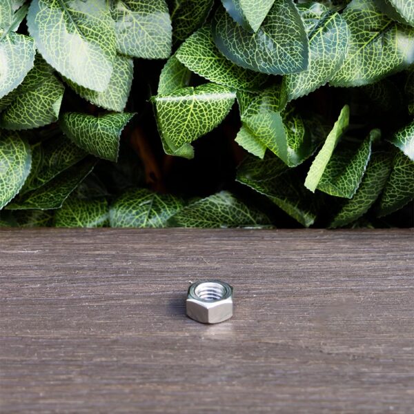316 Stainless Steel M12 Nuts (100 units) - Image 2