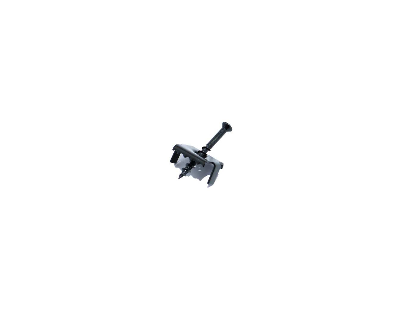 Pinch Clip & Screw